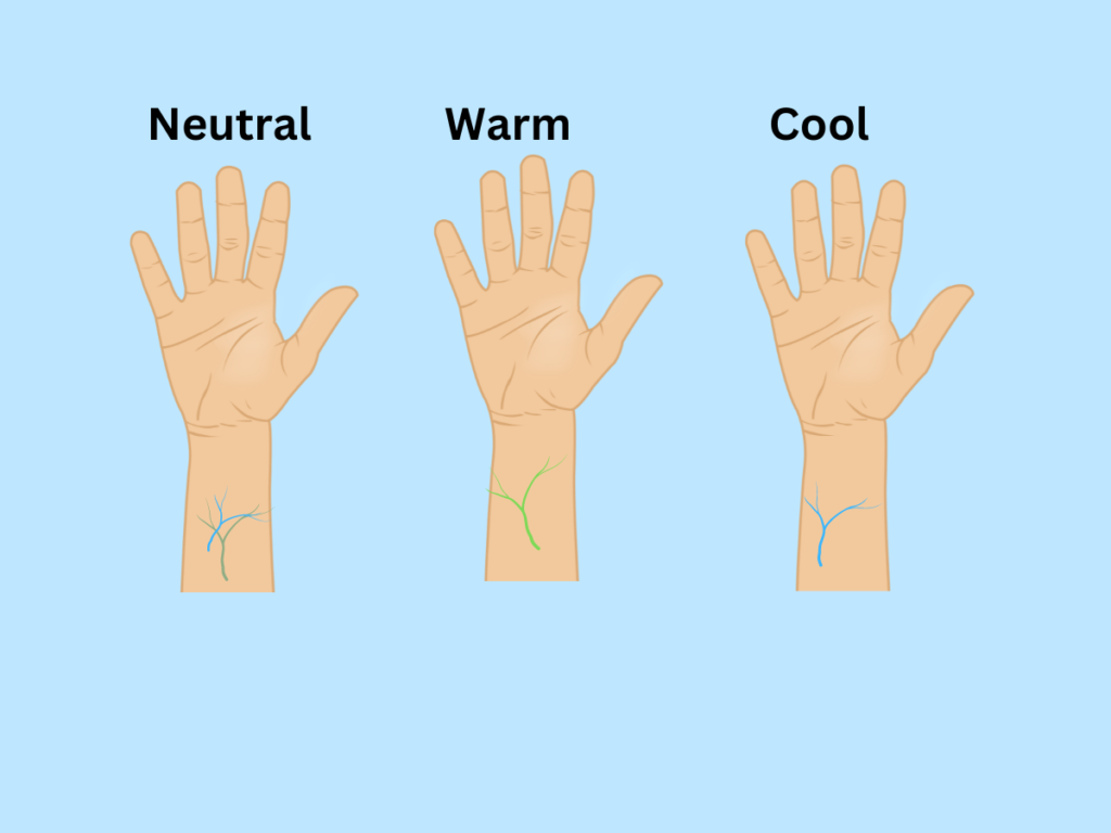 A close-up diagram of undertones